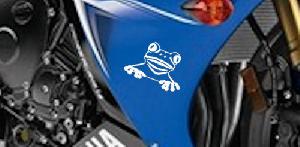 Tree Frog