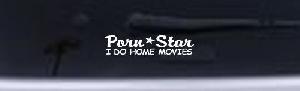 Porn Star