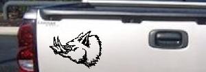 Wild Boar