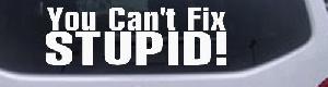 You Can't Fix Stupid