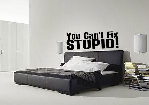 You Can't Fix Stupid