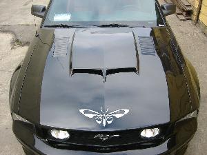 Tribal Butterfly