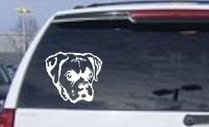 Boxer Bulldog