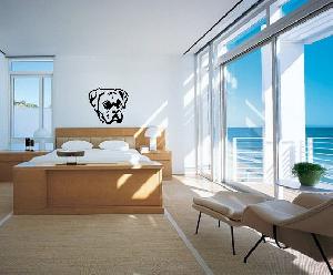 Boxer Bulldog