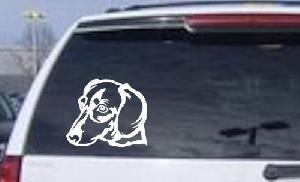 Dotson Dog 