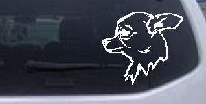 Chihuahua