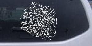 Spider Web
