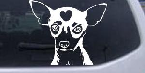 Chihuahua Dog