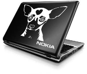 Chihuahua Dog