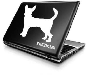 Chihuahua Dog