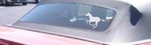Horse (full body) running