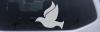 Dove