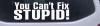 You Can't Fix Stupid