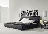 You Can't Fix Stupid