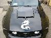 Tribal Dragon