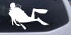Diver