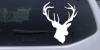 Big Buck