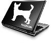 Chihuahua Dog
