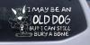 Funny I May Be An Old Dog Decal
