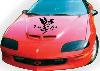 Tinkerbell Fearless Flirt Decal