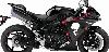 Skull Side View Decal