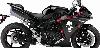 Skull Shadow Decal