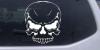 Mean Looking Skull Decal