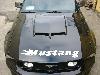 Flaming Mustang Decal