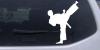 Karate Ninja Decal