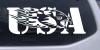 Flaming Eagle Head USA Decal