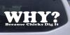 Why Because Chicks Dig It Decal
