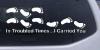 In Troubled Times I Carried You Decal