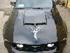 Dragon Flying Decal