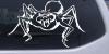 Spider Decal