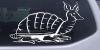 Armadillo Decal