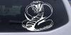 King Cobra Decal