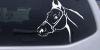 Horse Head Decal