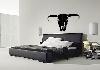 Long Horn Skull Mount