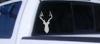 Deer Head Shadow