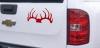 Deer horns