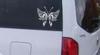 Butterfly 2