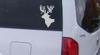 Deer Head Shadow