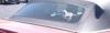 Horse (full body) running