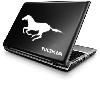 Horse (full body) running