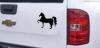 Horse (full body) prancing