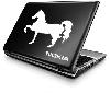 Horse (full body) prancing