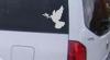 Dove