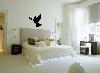 Dove