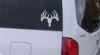 Deer Skull Mount