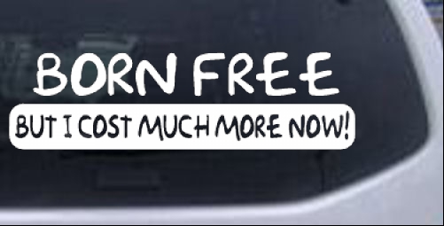 Born Free Funny car-window-decals-stickers